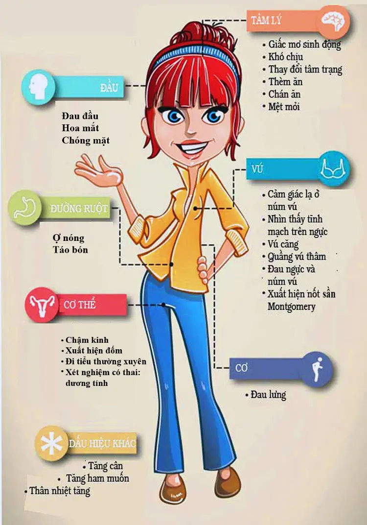 Cách nhận biết có thai: Những dấu hiệu và phương pháp kiểm tra hiệu quả