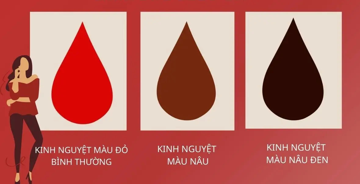 Hiện tượng có thai: Dấu hiệu, quy trình và những điều cần biết